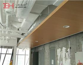 深圳市百麗大廈木紋鋁單板獨家供應(yīng)4